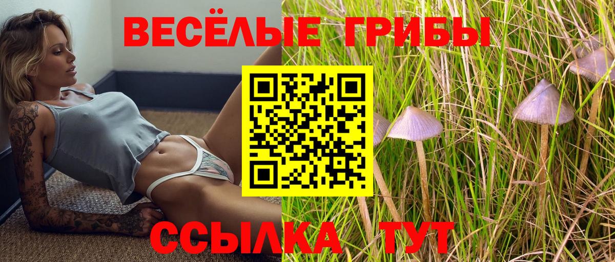 Хабаровск  Галлюциногенные грибы прущие грибы  Псилоцибиновые грибы Psilocybe  Вход с VPN 